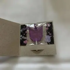 サンリオキャラクターズ キャンディーチャームズ グミ クロミ