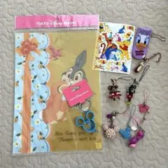 東京ディズニーリゾート　お土産などまとめ売り　ストラップ　平成レトロ　TDL