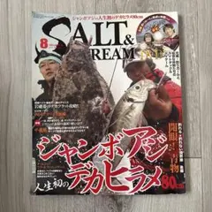 SALT&STREAM 2013年8月号 特別付録DVD付