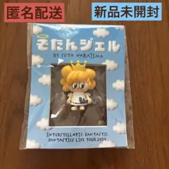そたんジェル　中島颯太　メンプロ