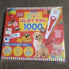 はじめてずかん 1000 新品未使用未開封