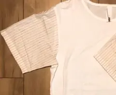 Edwina Horl 14SS 切り返し半袖プルオーバー　Tシャツ  白