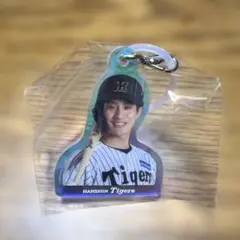 木浪聖也　阪神 阪神タイガース めじるしオーロラチャーム ガチャガチャ