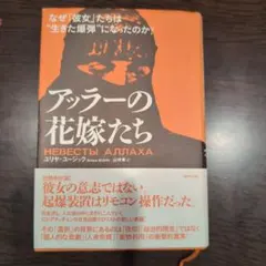 Item thumbnail for item 3a20568c-68ed-400e-937e-397e867e6489