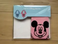 東京ディズニーリゾート ミッキーマウスバルーンスタイピ　スタイ