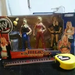 海外プロレス　WWE　PPFM　コラボ　タンクトップ　ステイシー　キーブラー　Ⅿ 海外プロレス WWE PPFM コラボ タンクトップ ステイシー