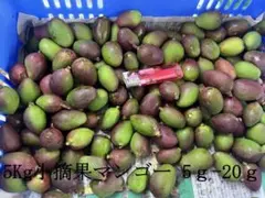 小さめ 15g〜50g 青マンゴー 摘果マンゴー 7kg - メルカリ