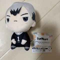 ハイキュー もちぴこぬいぐるみ 北信介