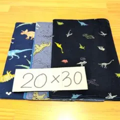 男の子恐竜柄♪ランチョンマット20×30♪裏地付き・3枚セット