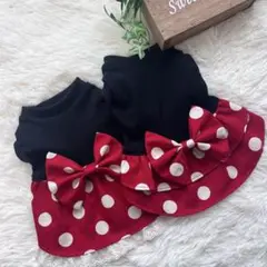 犬服　ドットフリル　お出かけ用　プレゼント