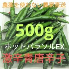 超激辛青唐辛子❗げきから君 2kg 農薬を用いない農家直送 2025年最新】青唐辛子 無農薬の人気アイテム - メルカリ