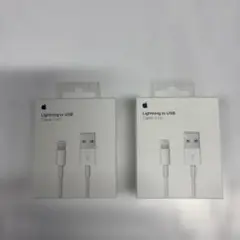 Apple Lightning to USB Cable (1m) 2本セット