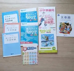 チャレンジ６年生　まとめ売り