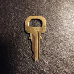 Item thumbnail for item ade4dc42-9d1a-40c5-8d73-f7932e322d63