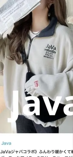 Java ハーフジップ フリース トレーナー グレー