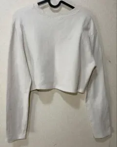ZARA ニット アイボリー USA M クロップド