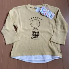 Item thumbnail for item 77781f59-8005-4d4e-b765-5195c038b5d3