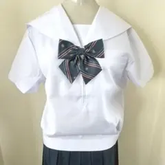 Item thumbnail for item 6aa3ecf4-9899-4a6f-8294-799e3d484a2c