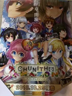 CHUNITHM AMAZON イロドリミドリ 告知ポスター チュウニズム