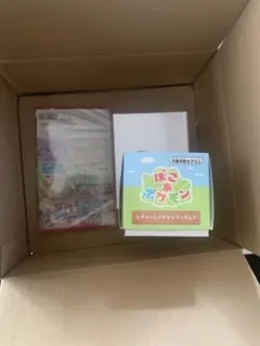 【Switch2】 ぽこ あ ポケモン➕ZA➕ポケモンメラミンカップ付き➕おまけ
