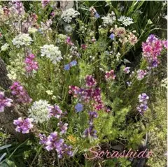 takako様 リクエスト 4点 まとめ商品