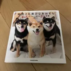 柴犬3兄弟ひなあおら わんダフルに生きる31の音楽