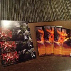 2025年9月発売新シリーズ　第7世代　POLA　B.A サンプル3セット