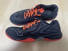 ミズノウェーブクローEL2 28.0センチ