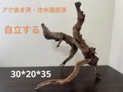 2026年最新】マシンガンウッドの人気アイテム - メルカリ