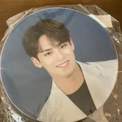 SEVENTEEN  Ode to You ソウルコン ミンギュ うちわ