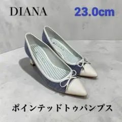 極美品 DIANA ポインテッドトゥパンプス デニム素材/ 白/ストライプのサムネイル