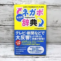 ネガポ辞典 実践編