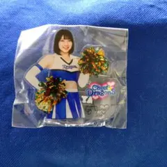 中日ドラゴンズ　チアドラデー ミニアクリルスタンド　AYANO