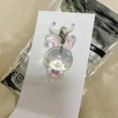 Red Velvet blank アイリーン クリアチャーム