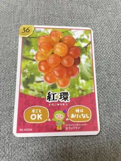 長野県　生坂村　ぶどうカード第2弾コンプリートセット 生坂村で「ぶどうカード」第2弾ができました | 来て！観て！松本『彩