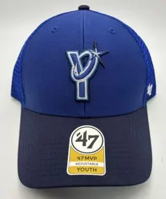 Item thumbnail for item 5b1a4a11-df56-4421-8536-4aab7c9ea0b3