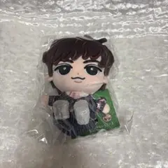 すのチル ぶら下がらないシリーズ　 BIGぬいぐるみver. 阿部亮平