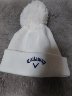 Item thumbnail for item 70c4b81e-55e2-49bd-acbe-9fdc443f6f64