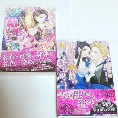 すずね凜２冊セット11　ヴァニラ文庫　TL小説　恋愛小説　女性向け