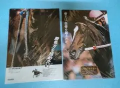 2025年最新】ヒーロー列伝トウカイテイオーの人気アイテム - メルカリ