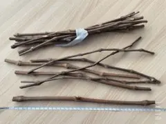 dr.vranjesルームフレグランス ロッソノービレデキャンタ用ぶどうの枝のサムネイル