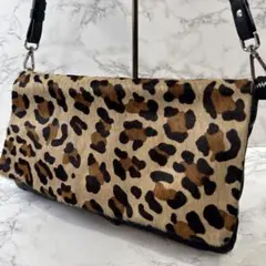 GIANNI CHIARINI ジャンニキャリーニ ハラコ×本革ショルダーバッグのサムネイル