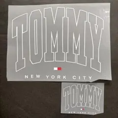 Item thumbnail for item f5ca6280-f361-46a3-a927-d96c14a584af