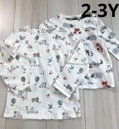 JOHN LEWIS 長袖Tシャツ　2点　うさぎ