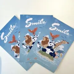 絵葉書3枚セット 動物