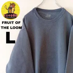 USA古着 FRUIT OF THE LOOM　ネルシャツL　グレーのサムネイル