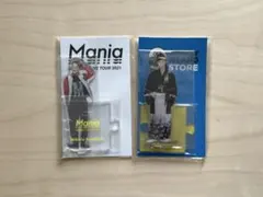 SnowMan アクスタ 岩本照 2点セット