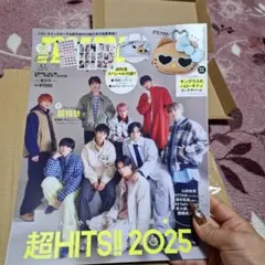 ぽぽさん専用。mini超特急 HITS!! 2025 ステッカー付き