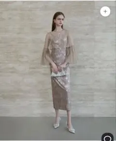 エレガントなシルバーのパーティードレス