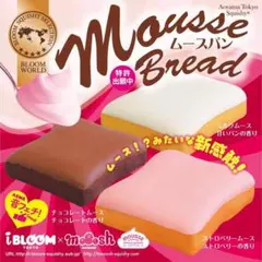 【美品】iBLOOM Mousse Bread ストロベリー スクイーズ 箱付き
